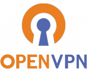 OpenVPN 후기 2021: 유료 서비스를 이용할 가치가 있습니까?